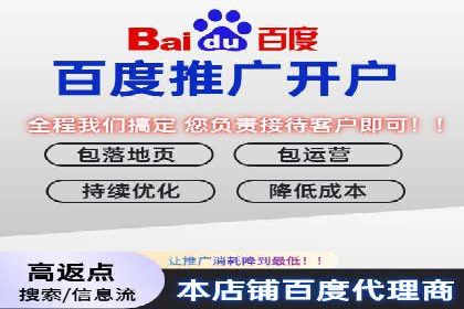 竞价排名广告投放案例